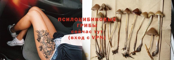apvp Армянск
